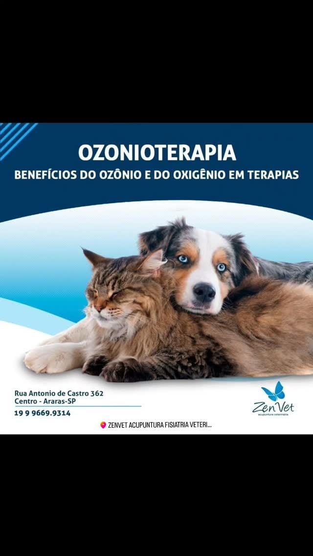 Post 4 by Zenvet Reabilitação Animal on Instagram (video)