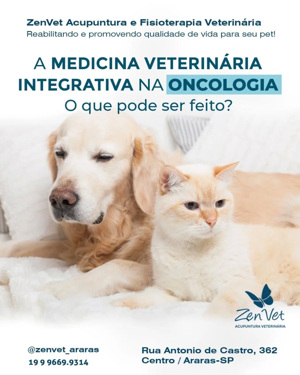 Post 10 by Zenvet Reabilitação Animal on Instagram (image)