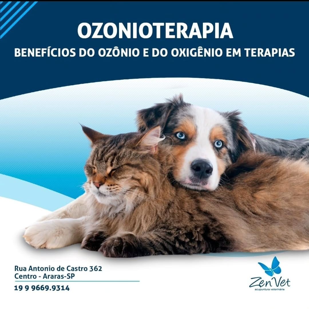 Post 5 by Zenvet Reabilitação Animal on Instagram (carousel)
