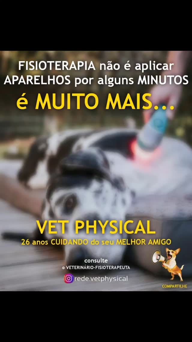 Post 9 by VET PHYSICAL on Instagram (video)