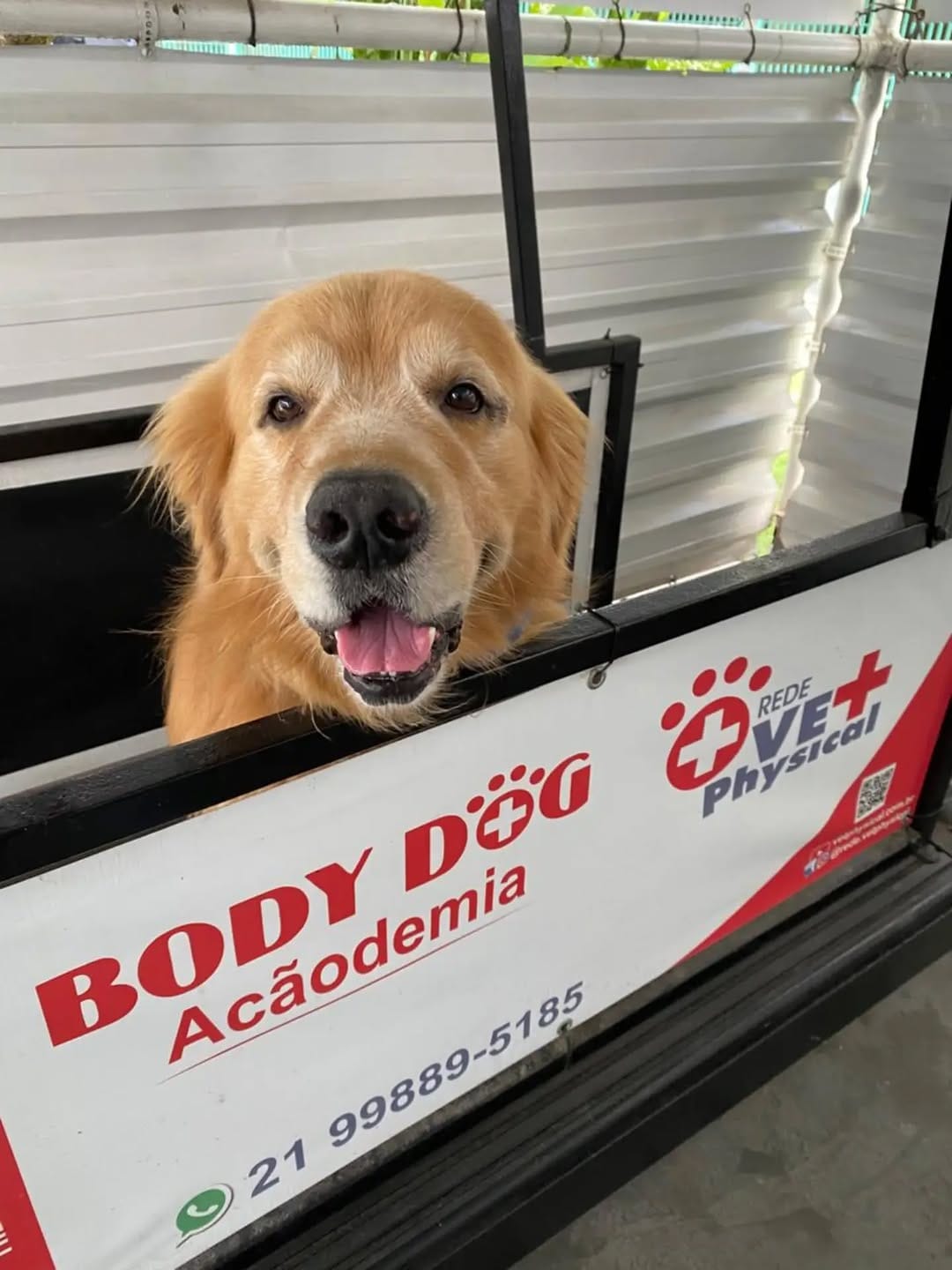 Post 7 by VET PHYSICAL on Instagram (image)