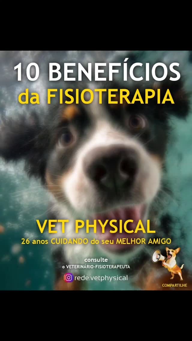 Post 4 by VET PHYSICAL on Instagram (video)