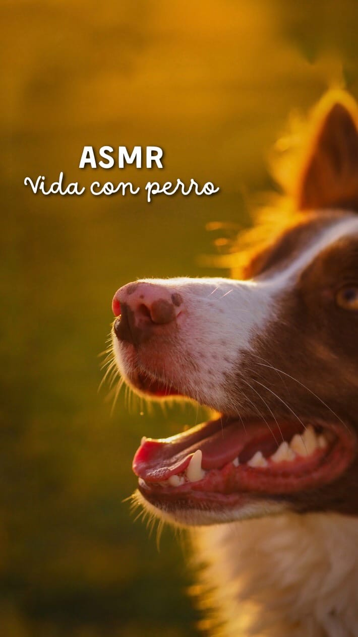 Post 2 by Marina & Maui on Instagram (video)