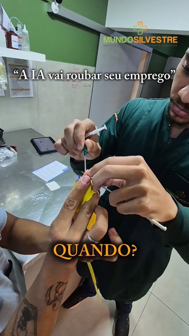 Post 6 by Mundo Silvestre on Instagram (video)