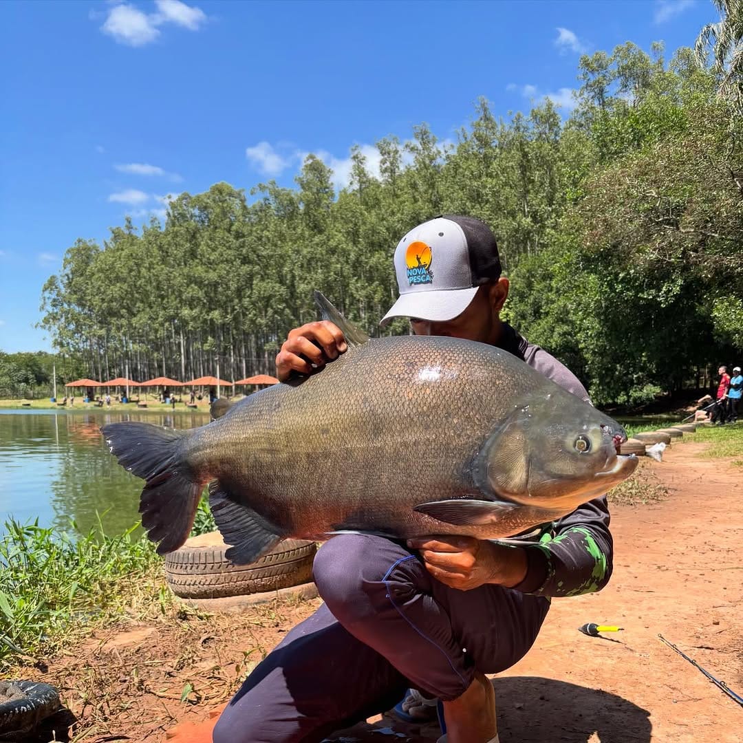 Post 6 by Nova Pesca Bauru on Instagram (carousel)