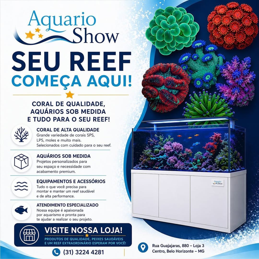 Post 1 by Aquario Show 🇧🇷  desde 2001 on Instagram (image)