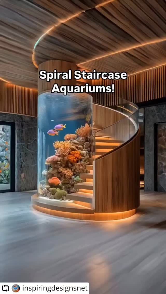 Post 10 by Aquario Show 🇧🇷  desde 2001 on Instagram (video)