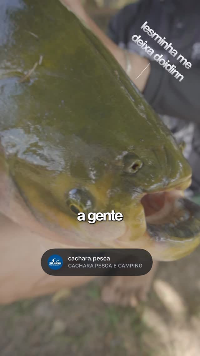 Post 5 by CACHARA PESCA E CAMPING on Instagram (video)