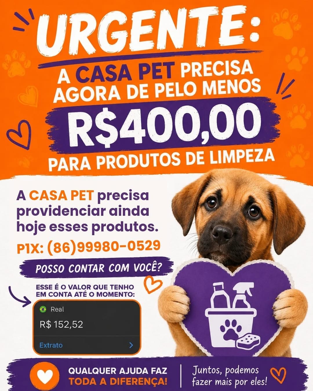 Post 7 by Casa Pet • abrigo de animais 🐾 on Instagram (image)