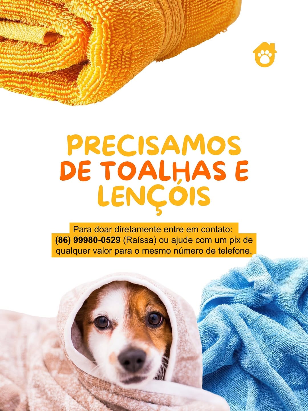 Post 1 by Casa Pet • abrigo de animais 🐾 on Instagram (carousel)