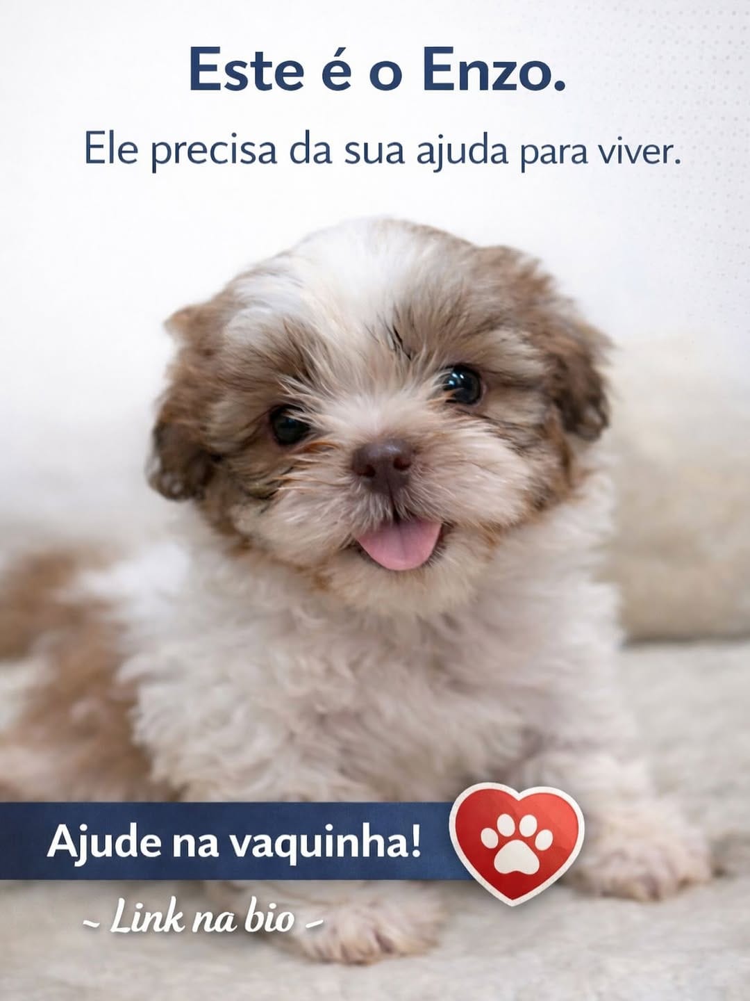 Post 6 by VIDANEST | Anestesia e Cardiologia Veterinária on Instagram (image)