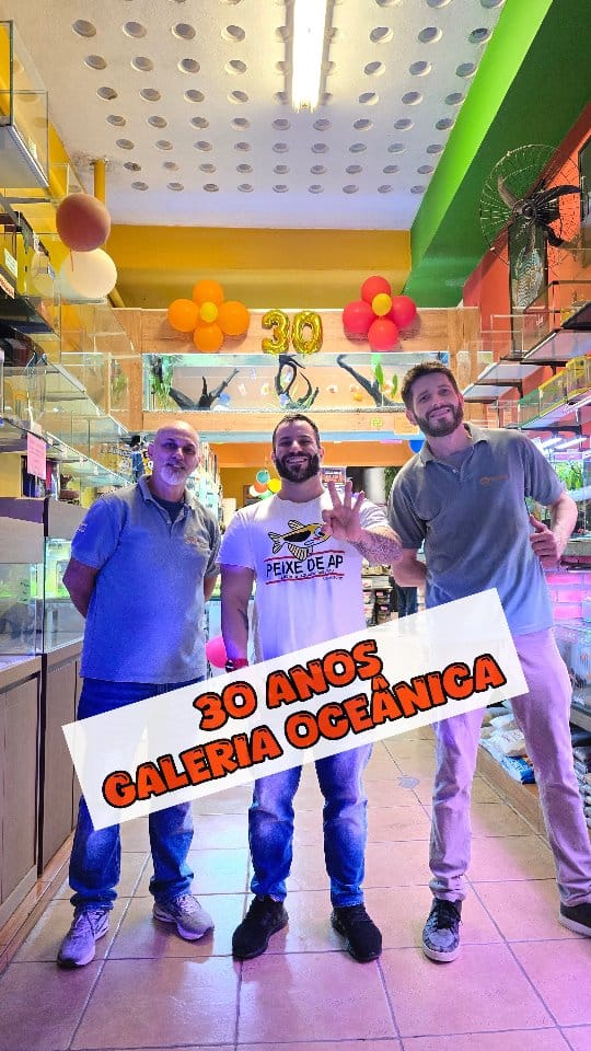 Post 6 by Galeria Oceanica on Instagram (video)