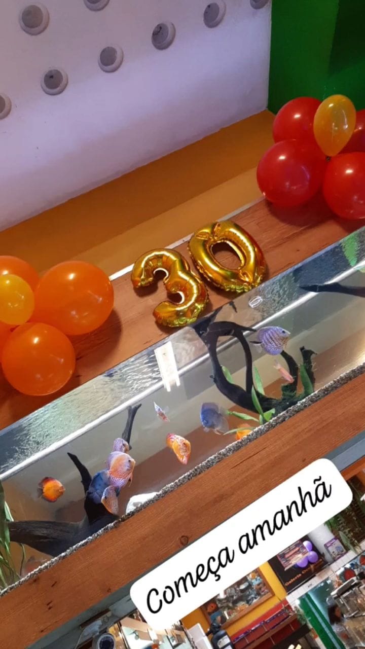 Post 7 by Galeria Oceanica on Instagram (video)