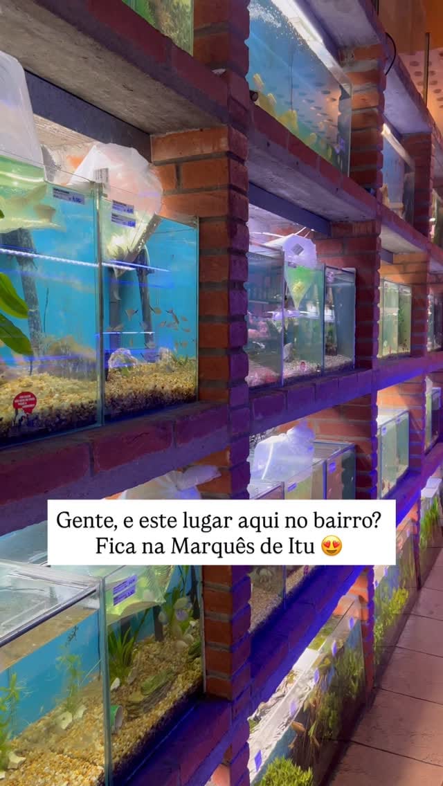 Post 3 by Galeria Oceanica on Instagram (video)