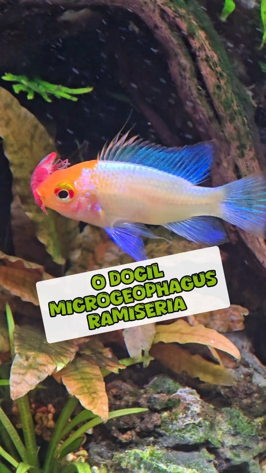Post 8 by Galeria Oceanica on Instagram (video)