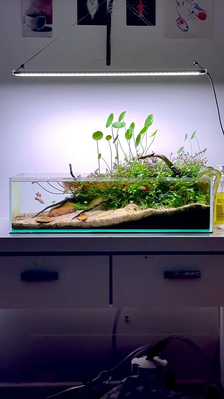 Post 2 by Galeria Oceanica on Instagram (video)