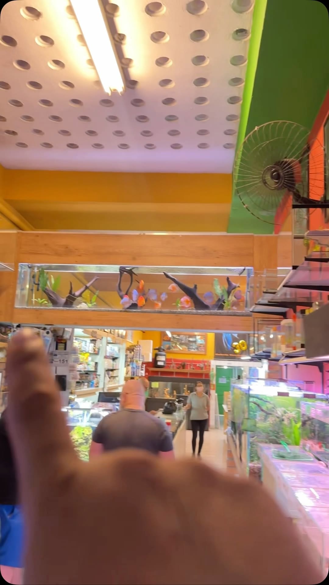 Post 1 by Galeria Oceanica on Instagram (video)