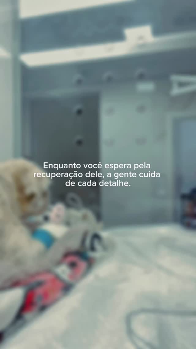 Post 4 by Vet Intensive on Instagram (video)