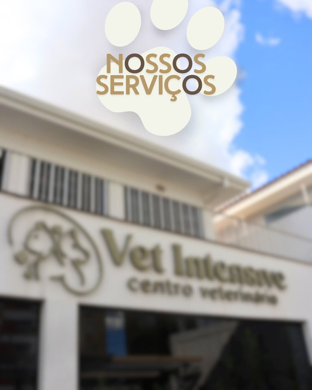 Post 10 by Vet Intensive on Instagram (carousel)