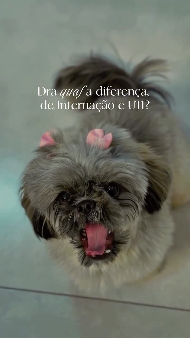 Post 2 by Vet Intensive on Instagram (video)