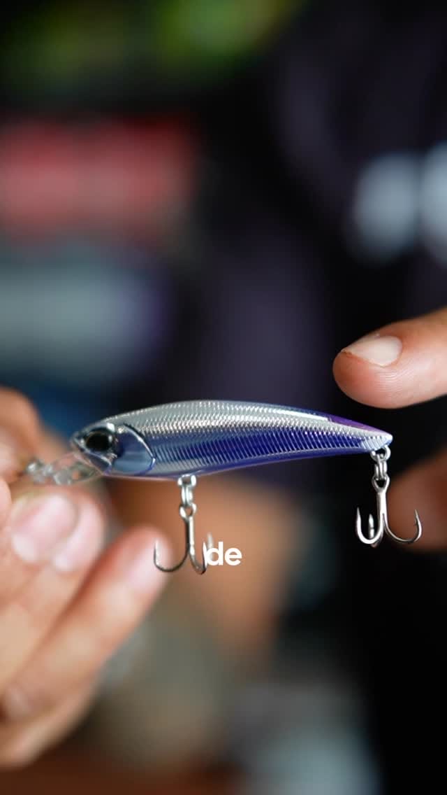 Post 9 by VIDA DE PESCADOR on Instagram (video)