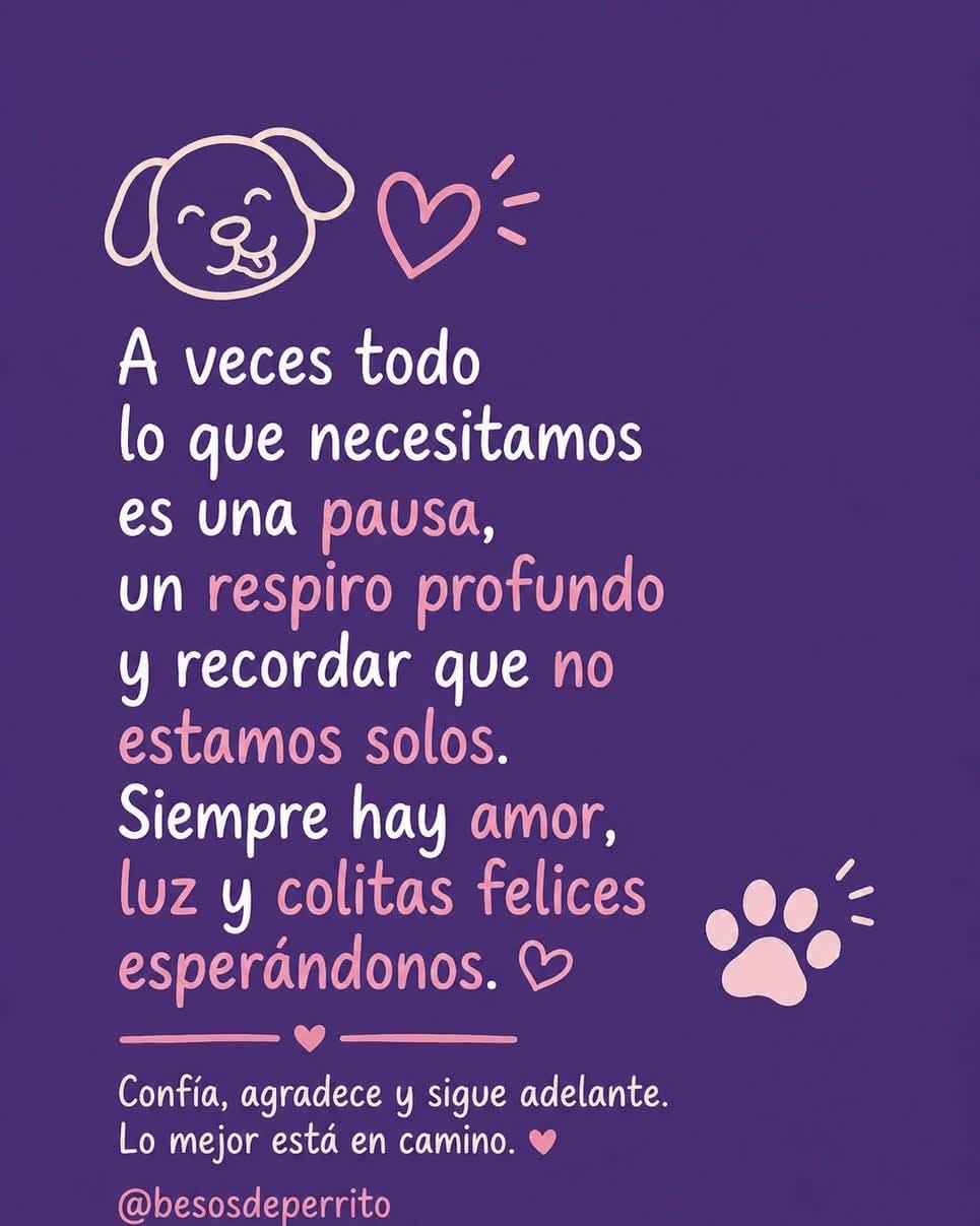 Post 9 by Fundación Huellitas de El Salvador on Instagram (image)