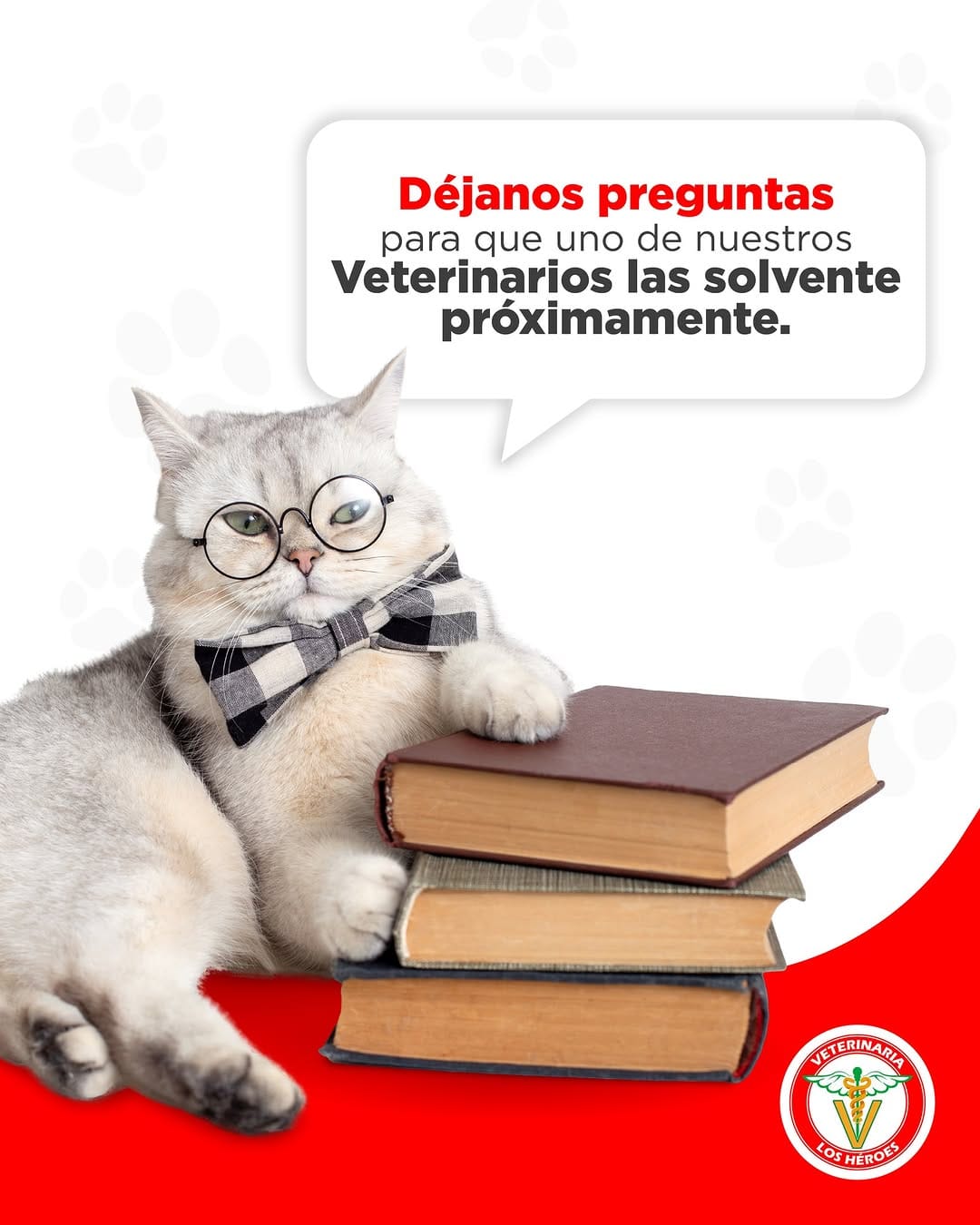 Post 3 by Veterinaria Los Héroes on Instagram (image)