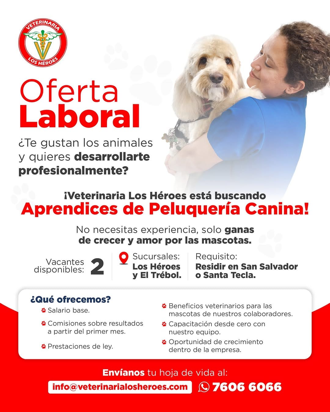 Post 7 by Veterinaria Los Héroes on Instagram (image)