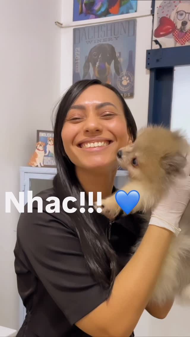 Post 1 by ALFA CLÍNICA VETERINÁRIA on Instagram (video)