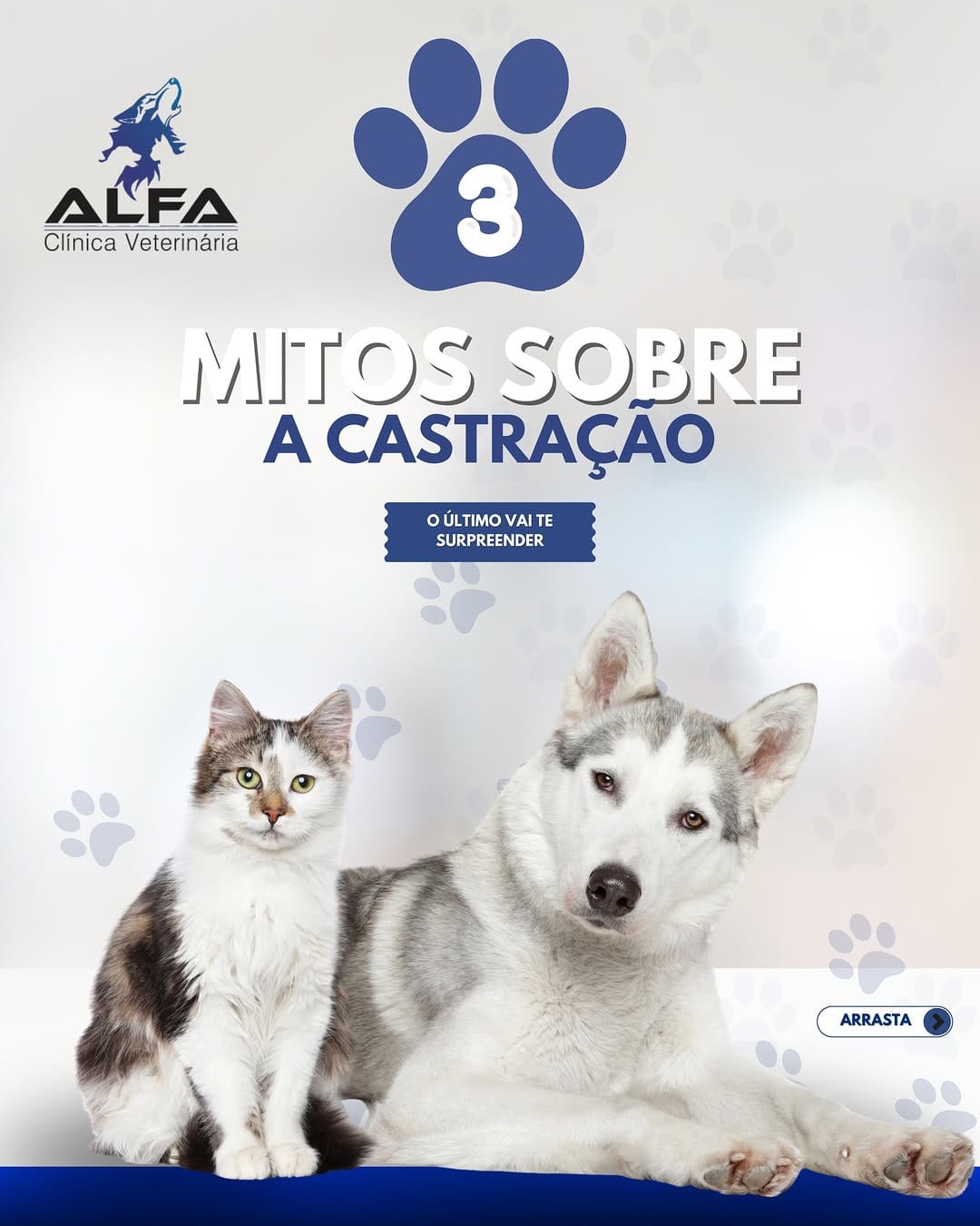 Post 9 by ALFA CLÍNICA VETERINÁRIA on Instagram (carousel)