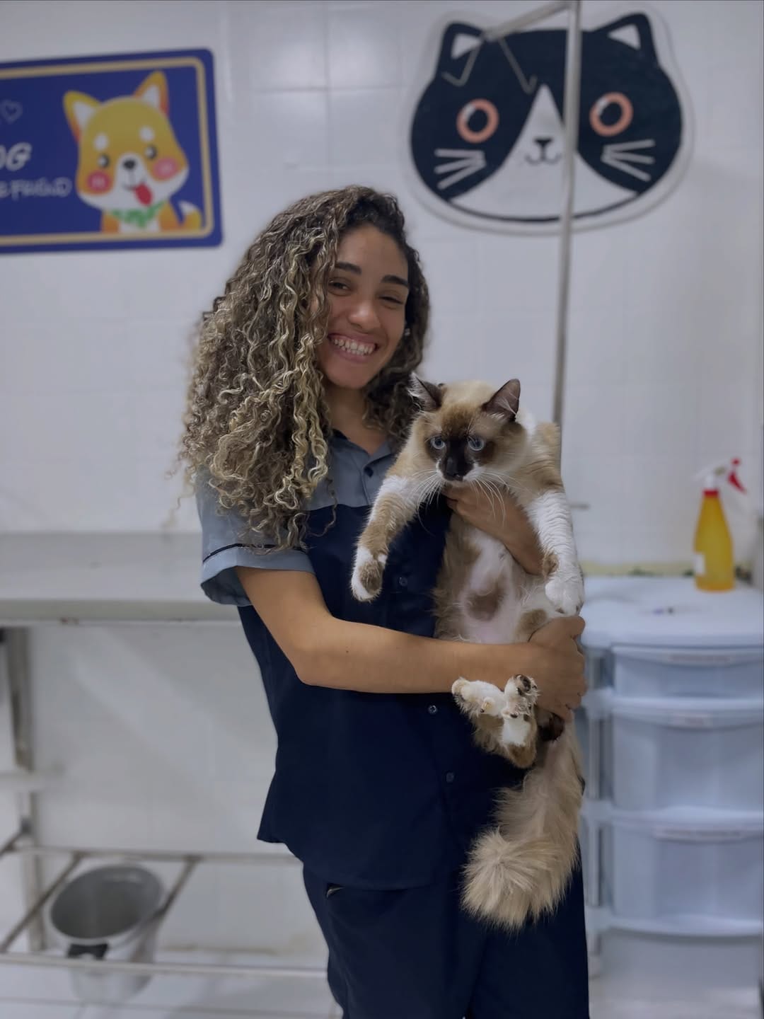 Post 4 by ALFA CLÍNICA VETERINÁRIA on Instagram (image)