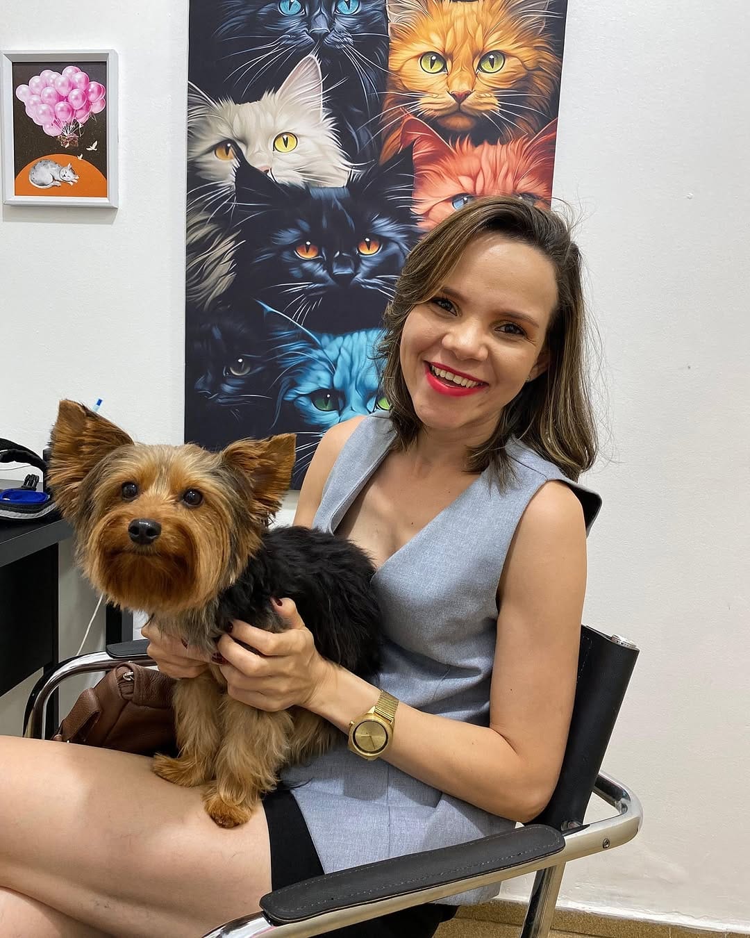 Post 10 by ALFA CLÍNICA VETERINÁRIA on Instagram (image)