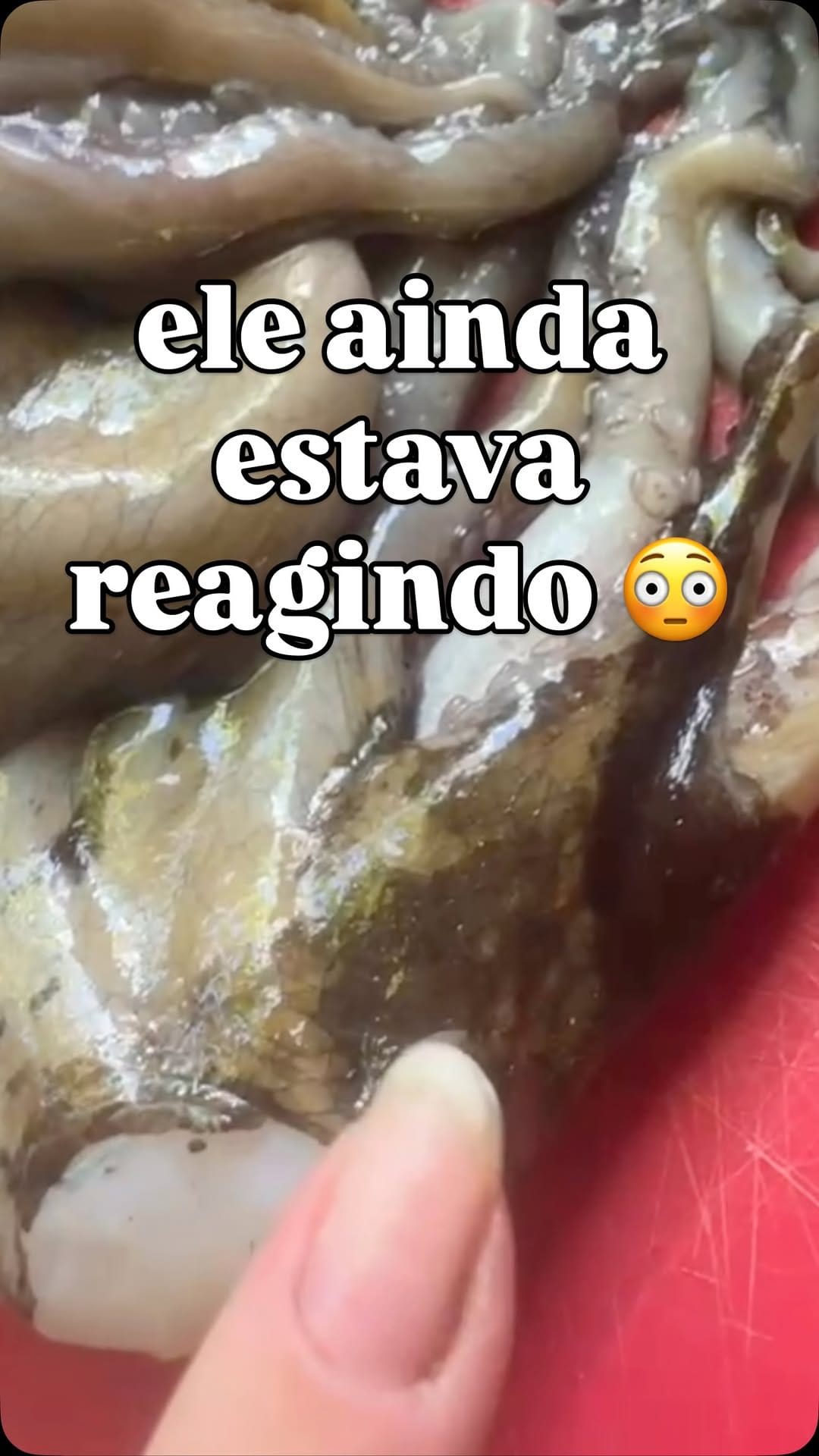 Post 5 by Pescados Keli Mozer on Instagram (video)