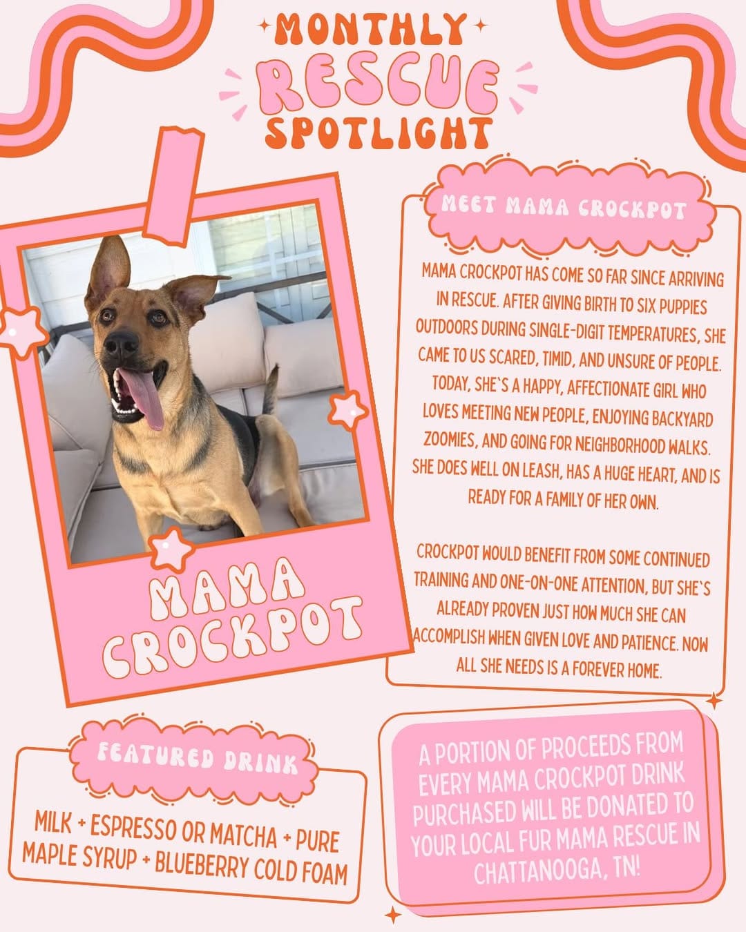 Post 3 by Your Local Fur Mama on Instagram (image)