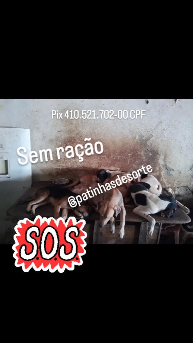 Post 2 by Patinhas De Sorte on Instagram (video)