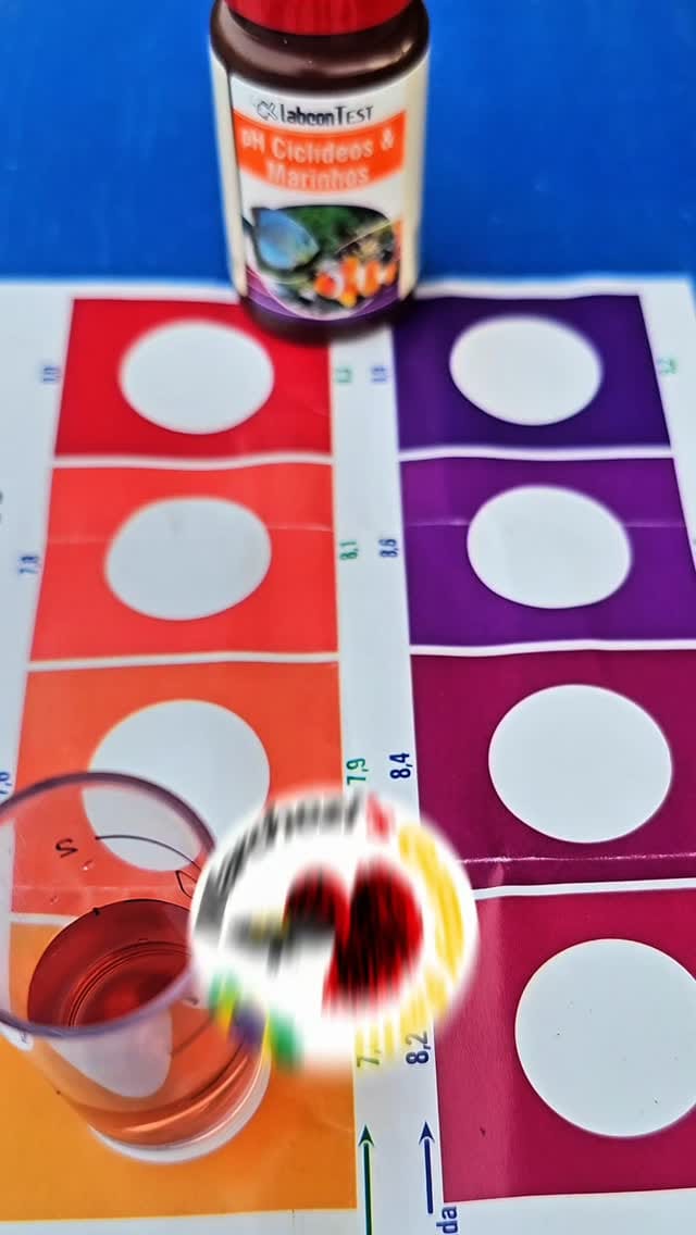 Post 10 by Marchezi Guppy Farm on Instagram (video)