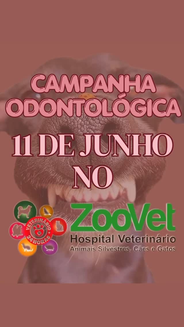 Post 5 by Clínica Veterinária Zoovet - 24 Horas - Silvestres, Cães e Gatos on Instagram (video)