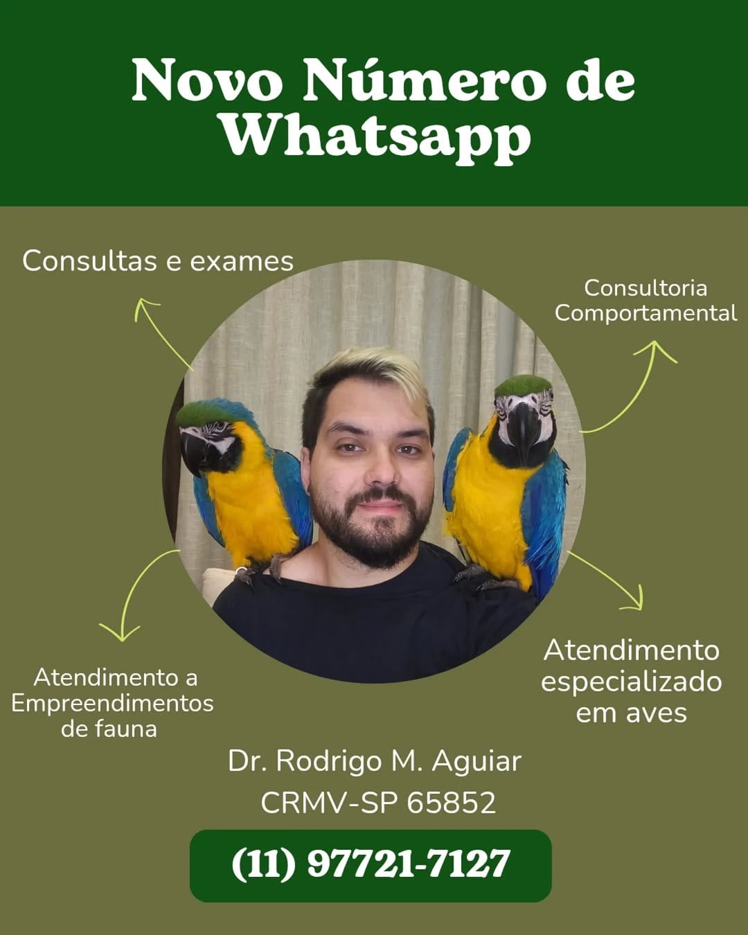 Post 10 by Rodrigo Mendes Aguiar - CRMV-SP 65852 on Instagram (image)