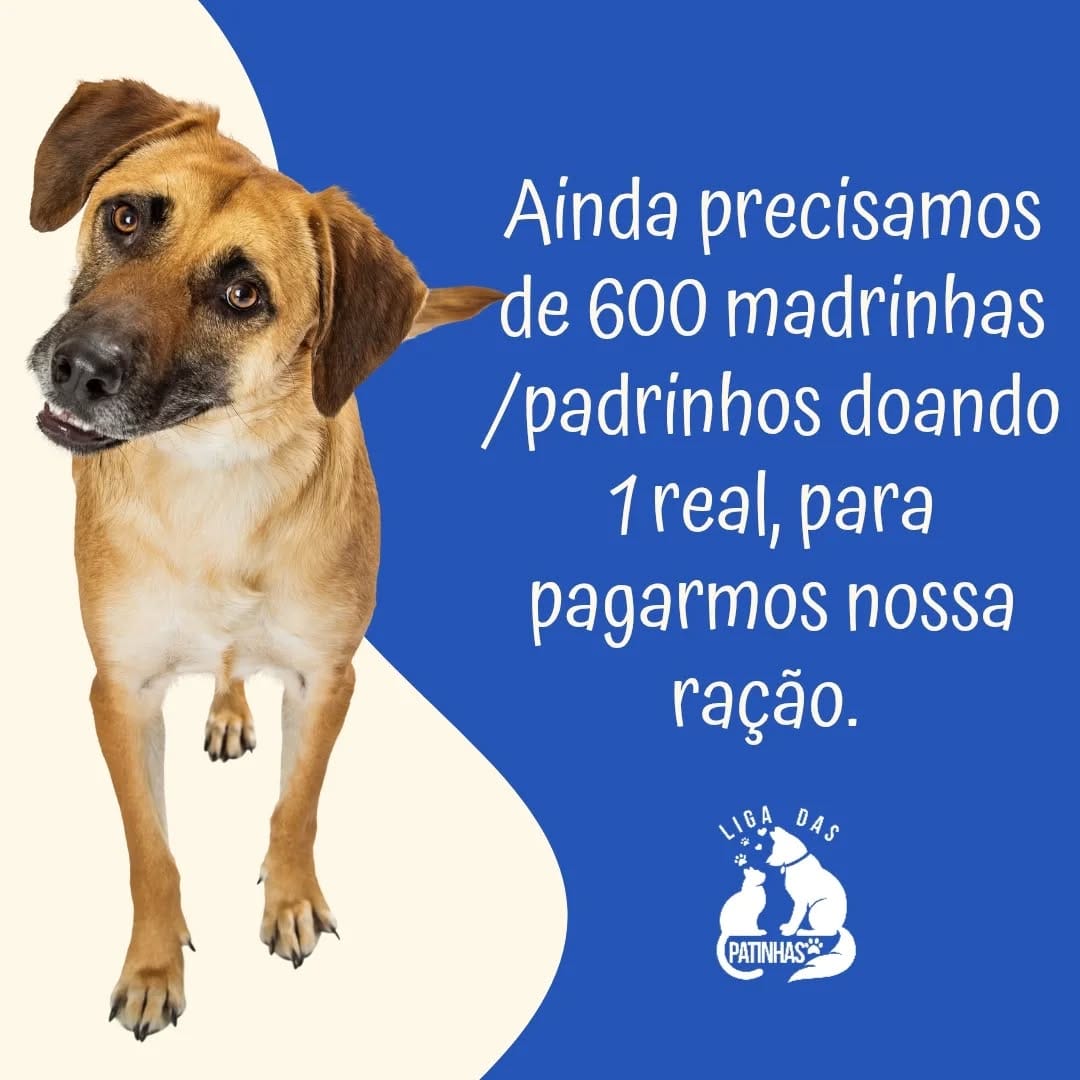 Post 1 by Liga das Patinhas🐾 on Instagram (image)