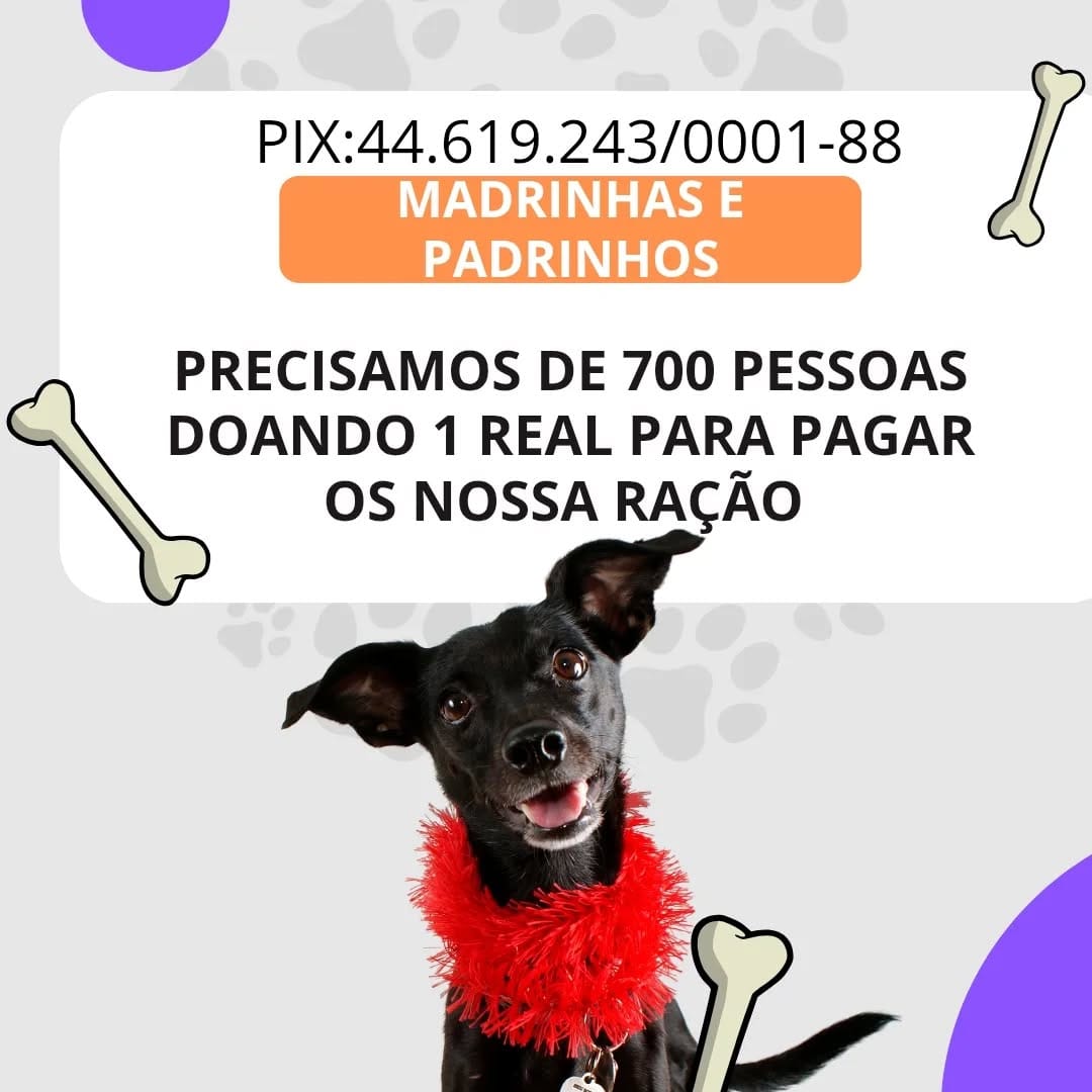 Post 3 by Liga das Patinhas🐾 on Instagram (image)