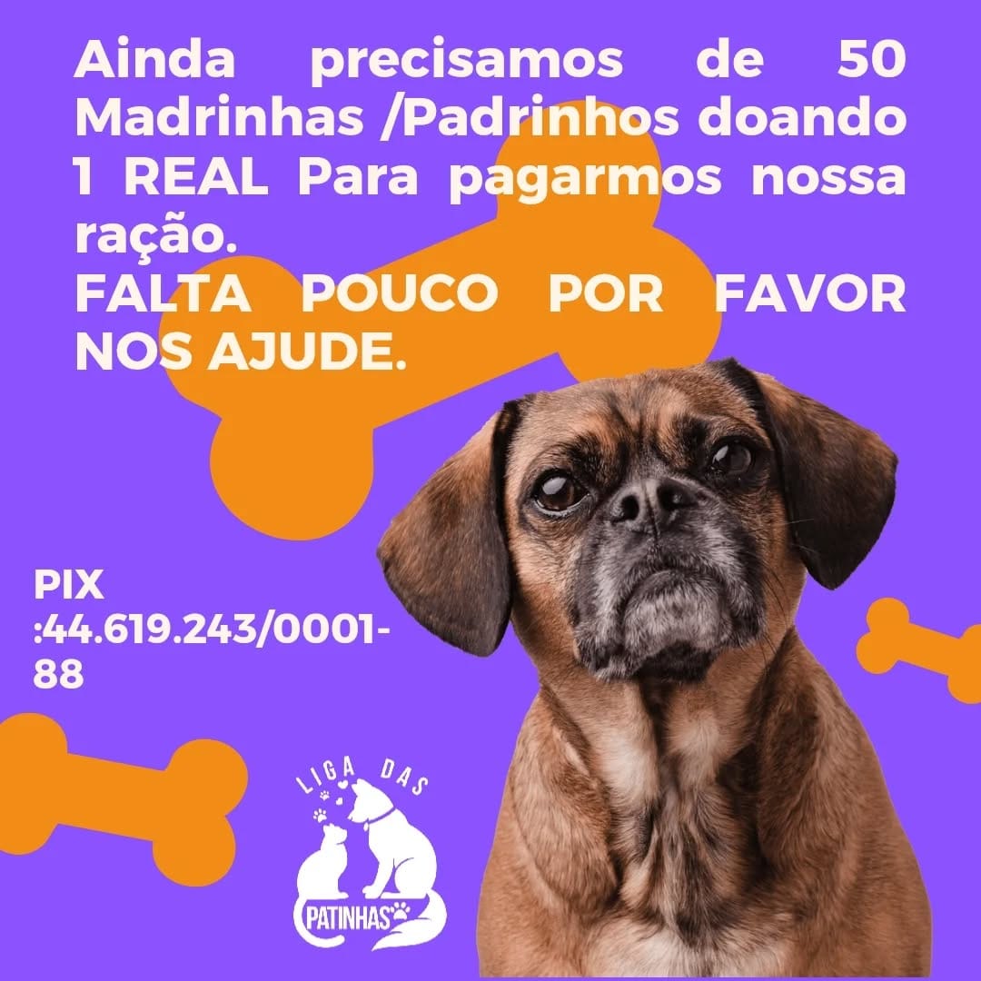 Post 7 by Liga das Patinhas🐾 on Instagram (image)