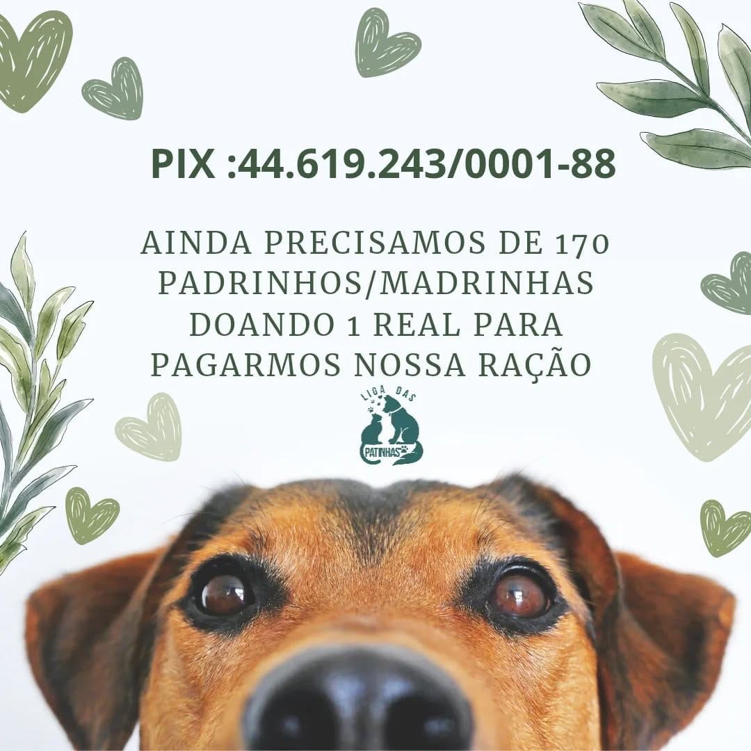 Post 8 by Liga das Patinhas🐾 on Instagram (image)