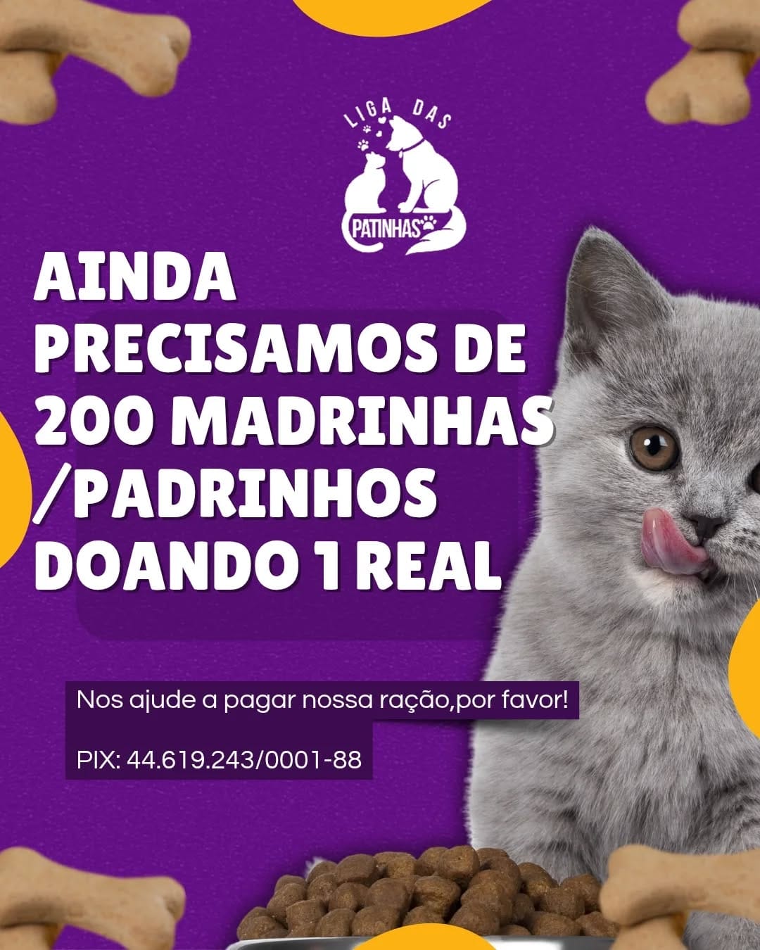 Post 9 by Liga das Patinhas🐾 on Instagram (image)
