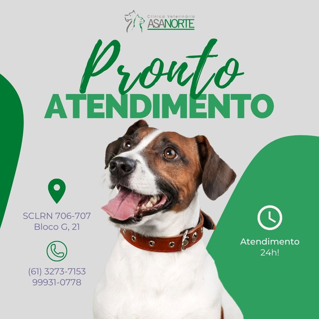 Post 4 by Clínica Veterinária Asa Norte | 24 horas on Instagram (image)