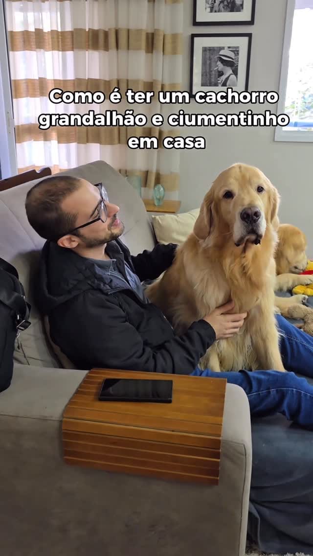 Post 1 by Romulo Micoli - Acupuntura Veterinária São Paulo on Instagram (video)
