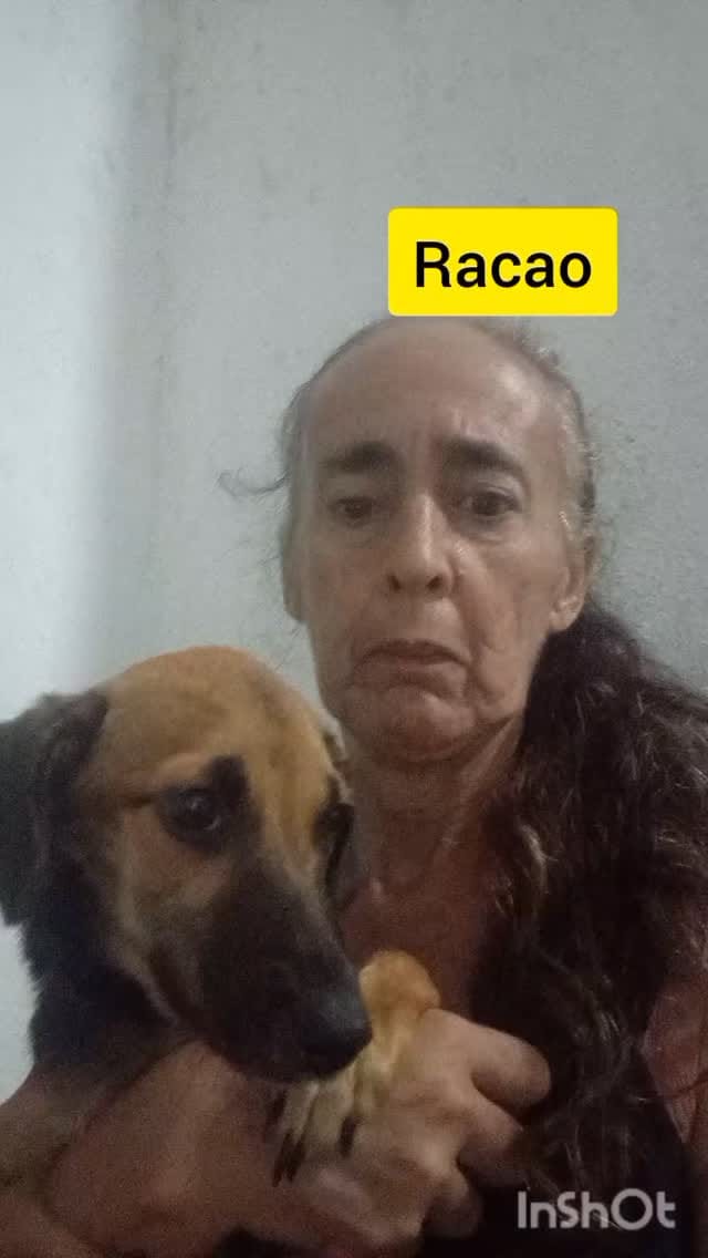 Post 8 by PROAR - Projeto Animais de Rua on Instagram (video)