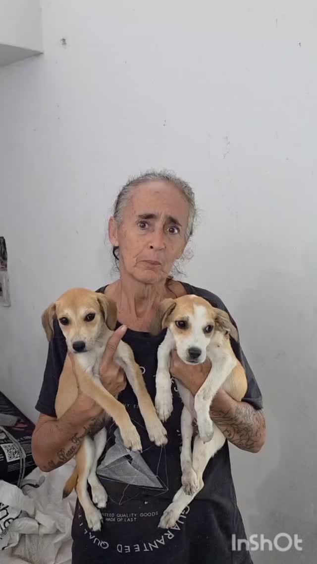Post 3 by PROAR - Projeto Animais de Rua on Instagram (video)