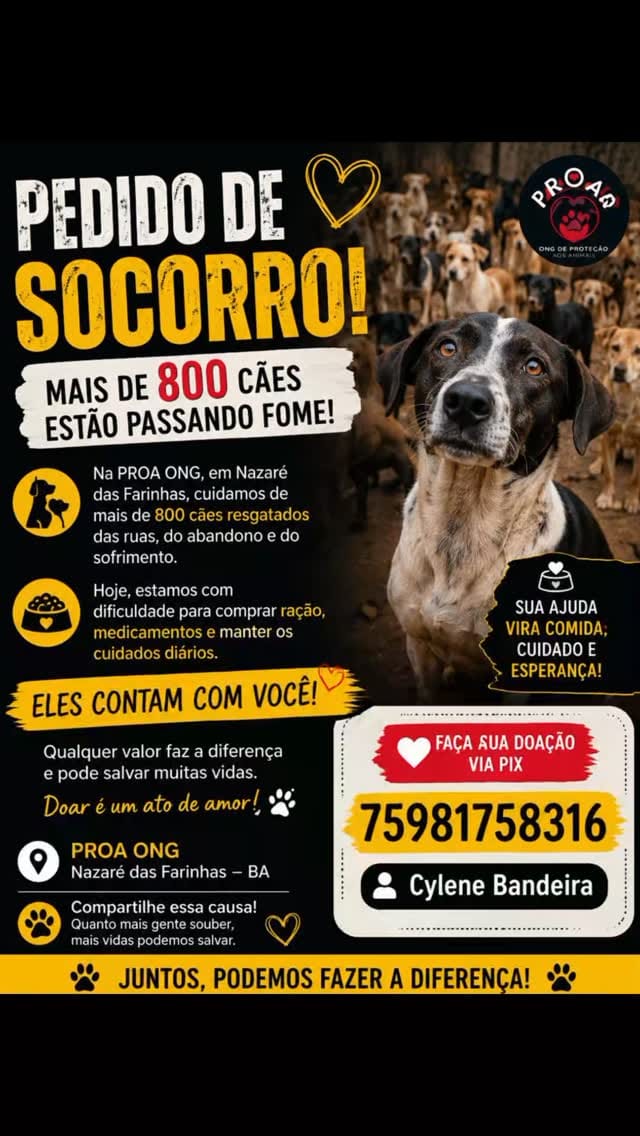 Post 5 by PROAR - Projeto Animais de Rua on Instagram (video)