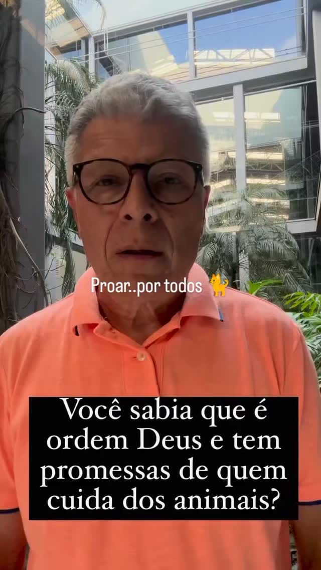Post 2 by PROAR - Projeto Animais de Rua on Instagram (video)