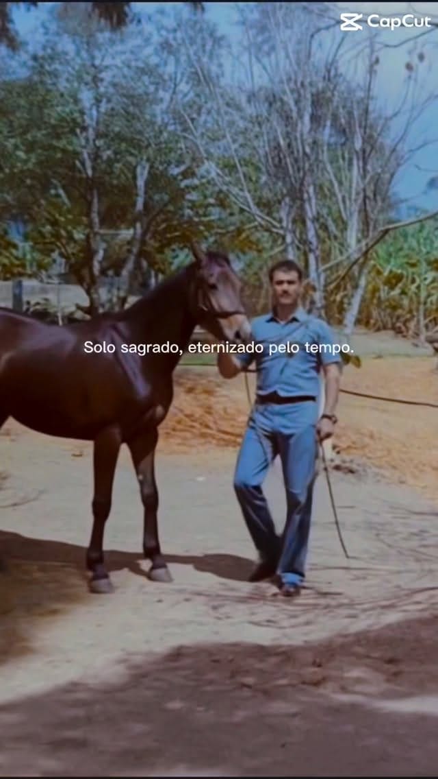 Post 4 by Coudelaria das Araucárias on Instagram (video)